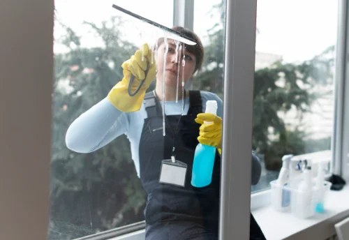 Nettoyage de vitres intérieures et extérieures à la Taillée